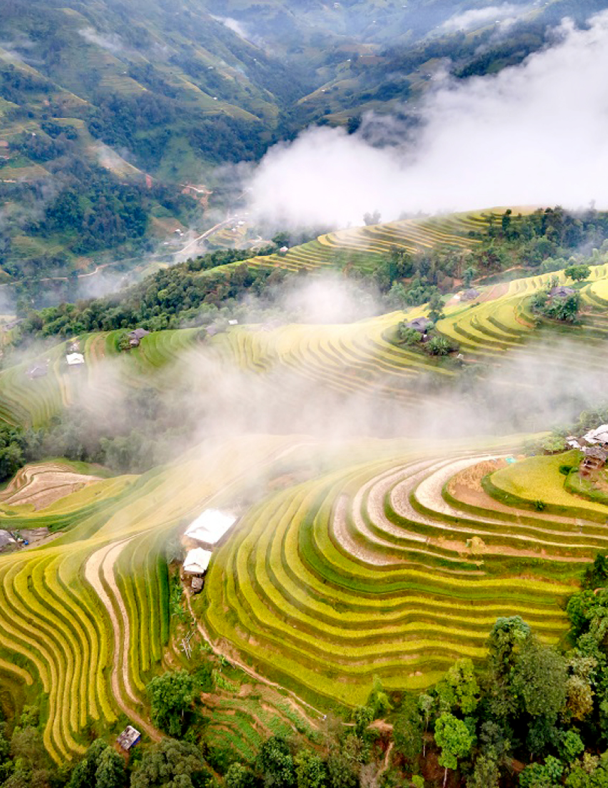 Chất lượng